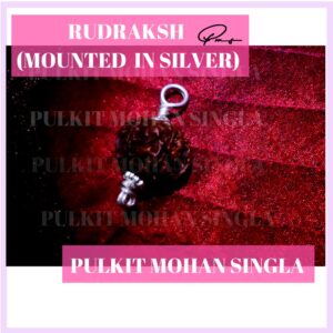 https://www.pulkitmohansingla.com/wp-content/uploads/2020/05/Rudraksh-mounted-in-silver-300x300.jpg