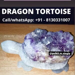 https://www.pulkitmohansingla.com/wp-content/uploads/2021/07/amethyst-dragon-tortoise-300x300.jpg