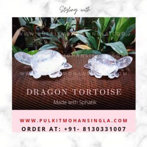 https://www.pulkitmohansingla.com/wp-content/uploads/2021/07/sphatik-dragon-tortoise-300x300.jpg